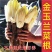 菊苣金玉兰菜根