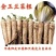 菊苣金玉兰菜根