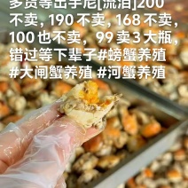 降价降价全面廉价售卖劳动力啦
