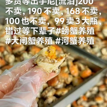降价降价全面廉价售卖劳动力啦