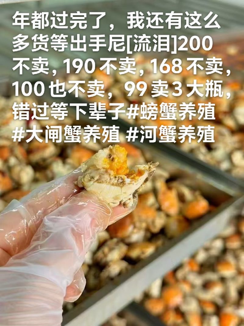 降价降价全面廉价售卖劳动力啦
