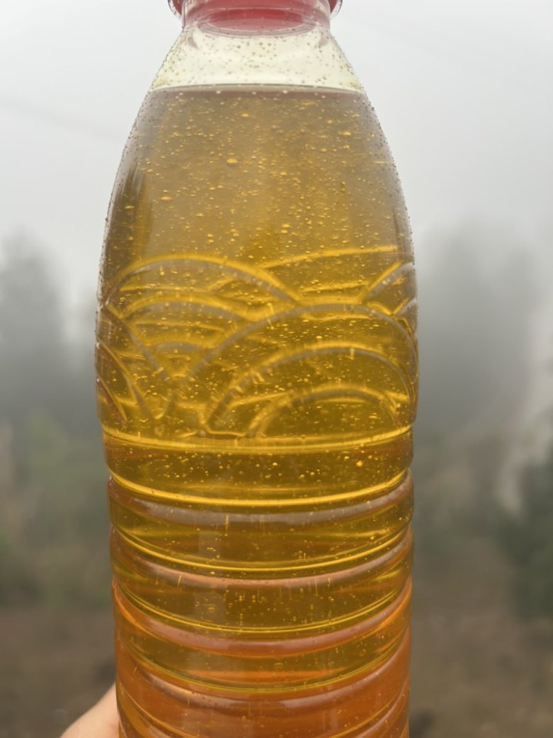 农家直销正宗山茶油，自家吃不完那么多对外销售