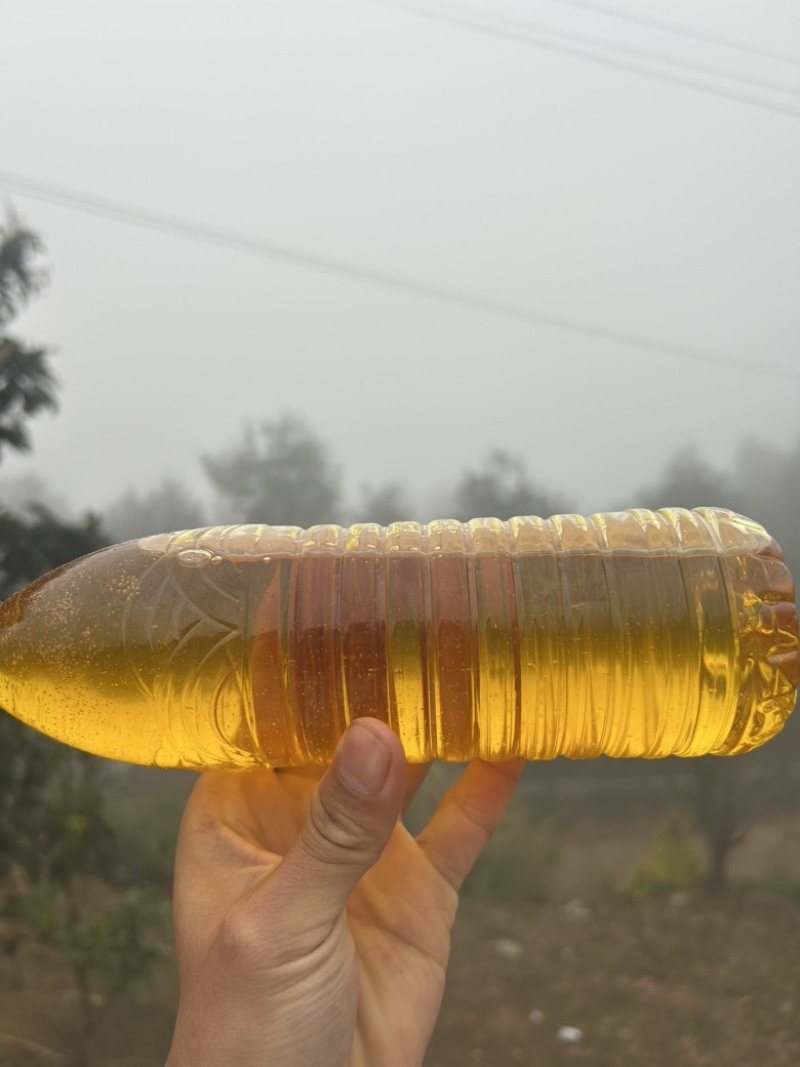农家直销正宗山茶油，自家吃不完那么多对外销售