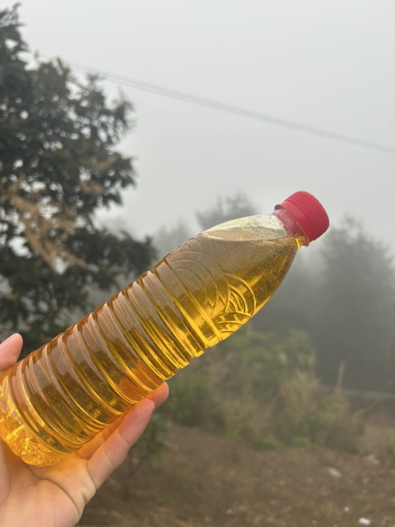 农家直销正宗山茶油，自家吃不完那么多对外销售