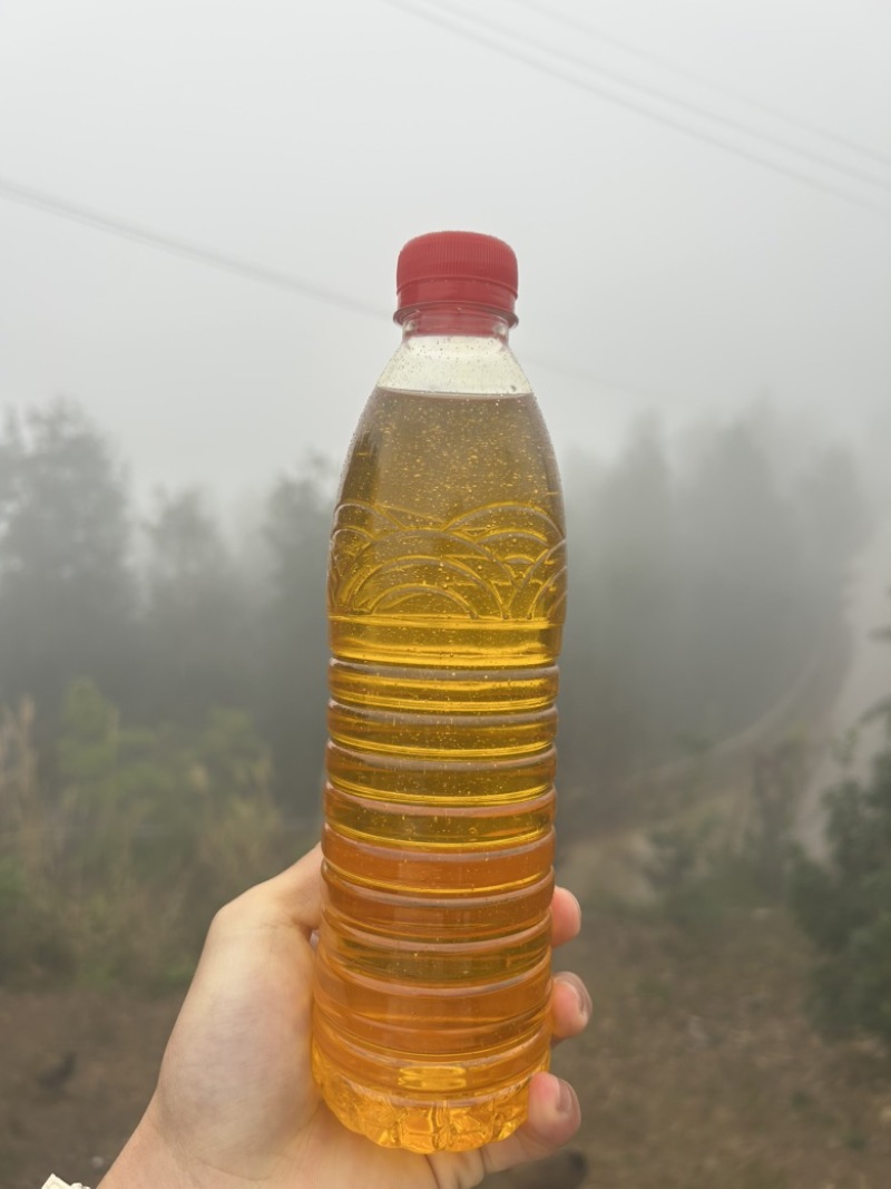 农家直销正宗山茶油，自家吃不完那么多对外销售