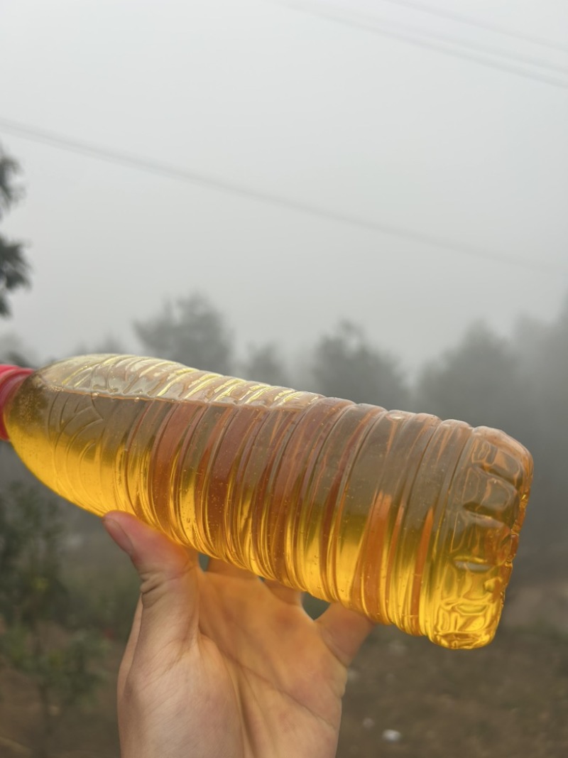 农家直销正宗山茶油，自家吃不完那么多对外销售