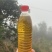 农家直销正宗山茶油，自家吃不完那么多对外销售