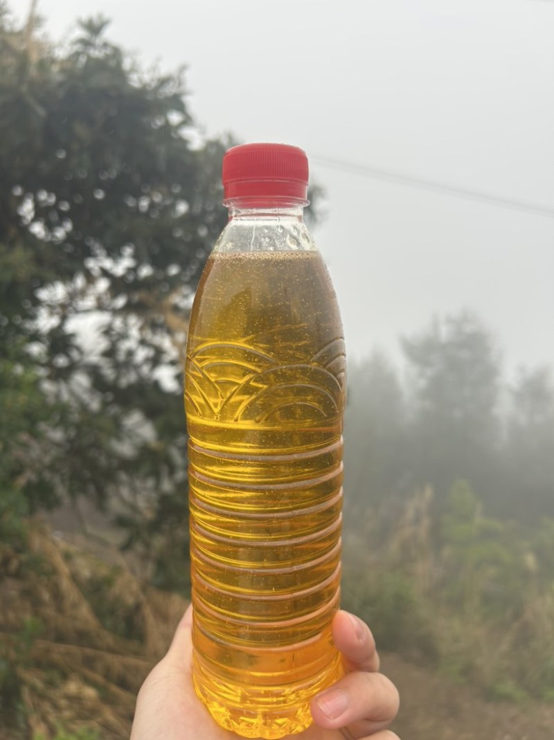 农家直销正宗山茶油，自家吃不完那么多对外销售