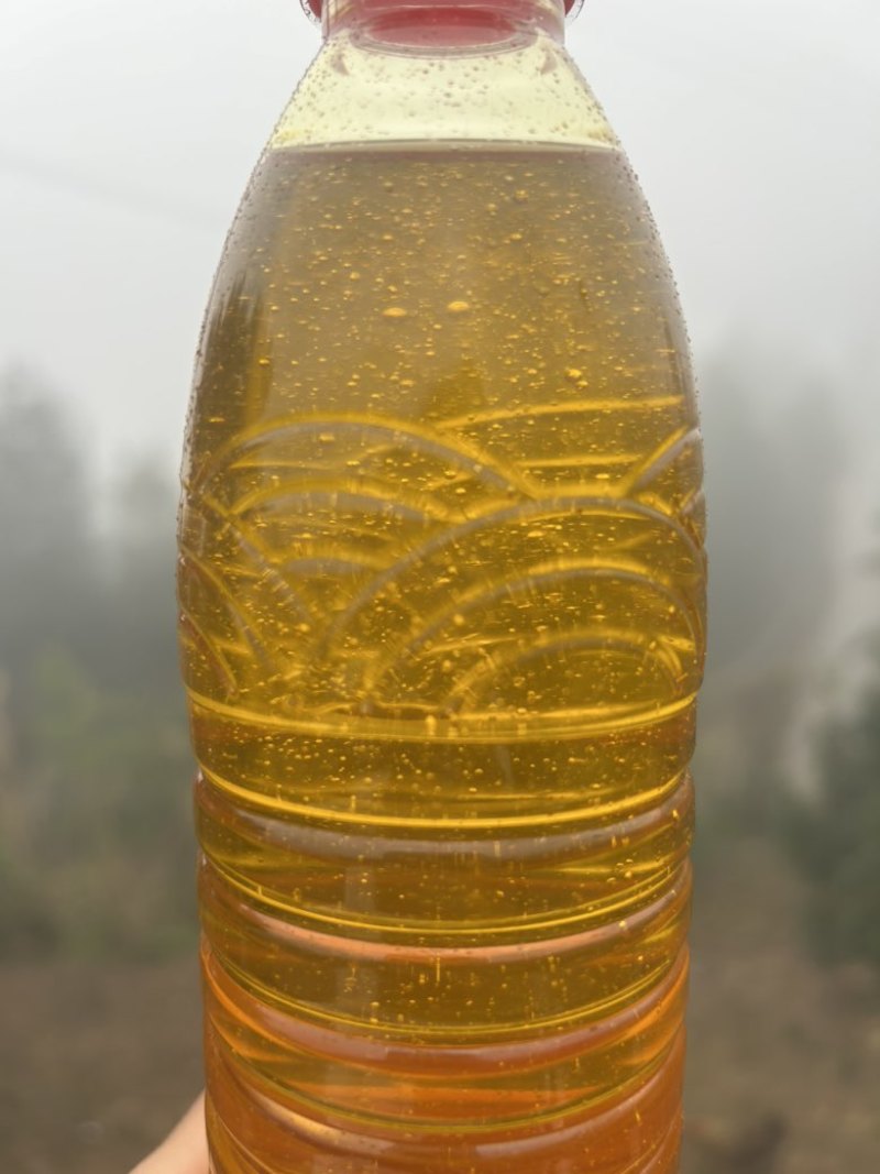 农家直销正宗山茶油，自家吃不完那么多对外销售