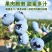 云南澄江蓝莓