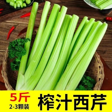 榨汁西芹一件代发泡沫箱+保温袋防冻5斤一件