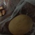 鸡结石200克