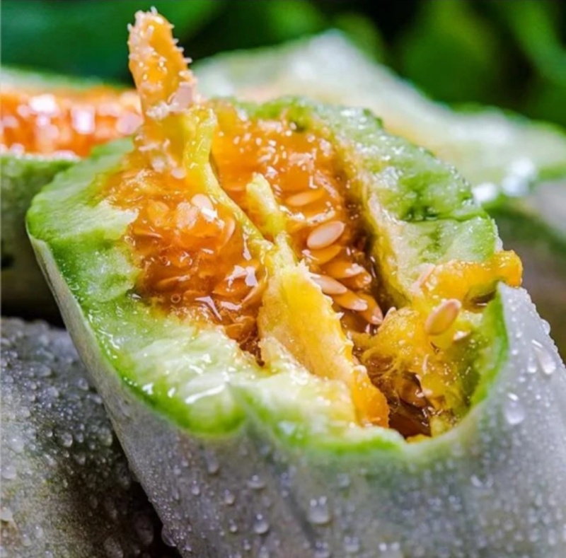 山东羊角蜜甜瓜脆甜质量保证批发头茬