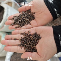 长期大量批发越南黑胡椒各种规格黑椒牛排香料白胡椒价优