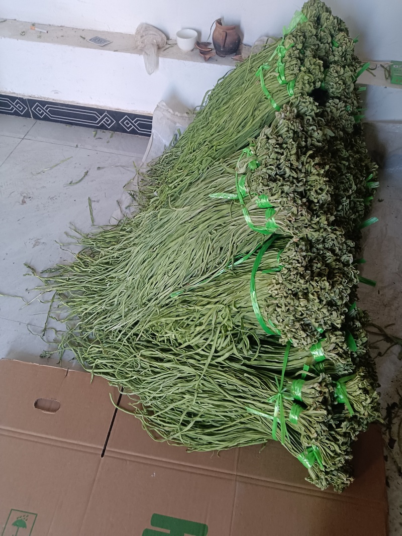 云南大理宾川高原贡菜