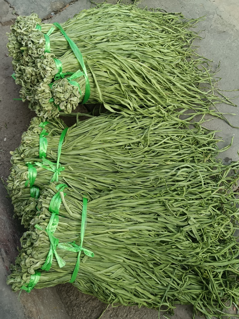 云南大理宾川高原贡菜