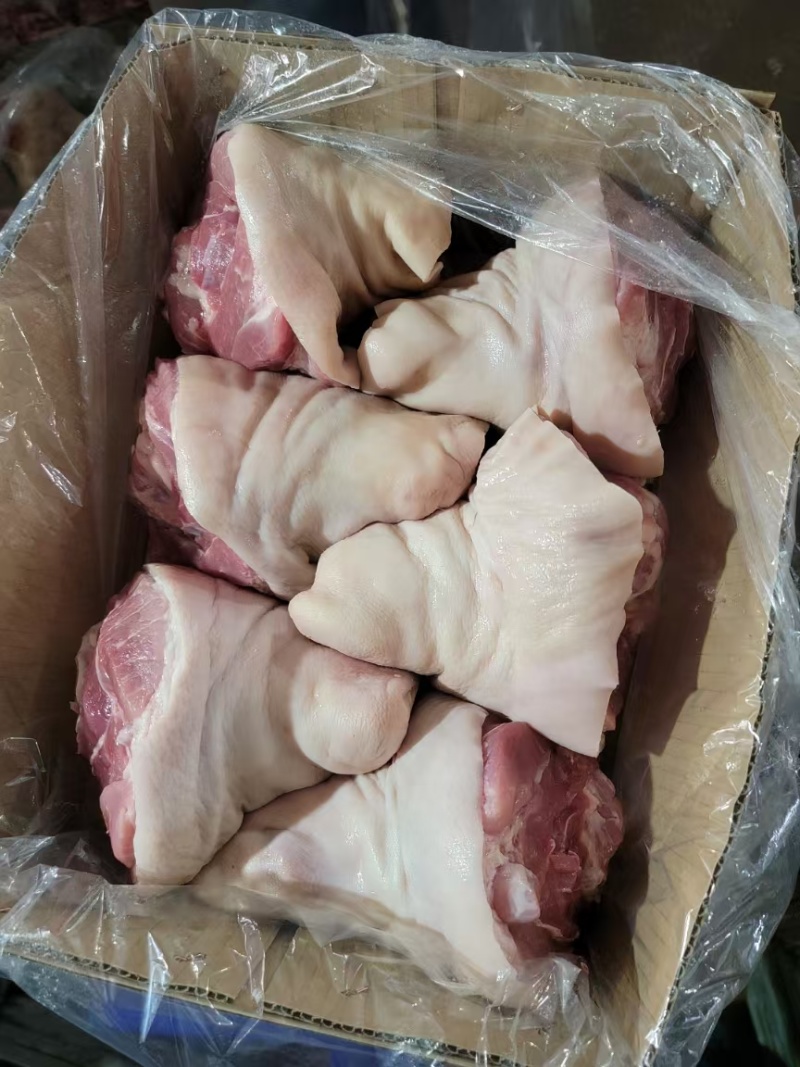 肥猪带拐后肘5-6个河北