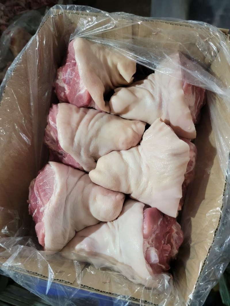 肥猪带拐后肘5-6个河北