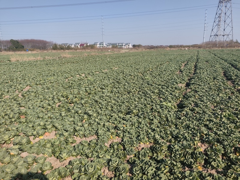 太湖菜
