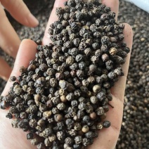 批发优质黑胡椒5两8货干净度好干度好胡椒八角桂皮香叶火锅料