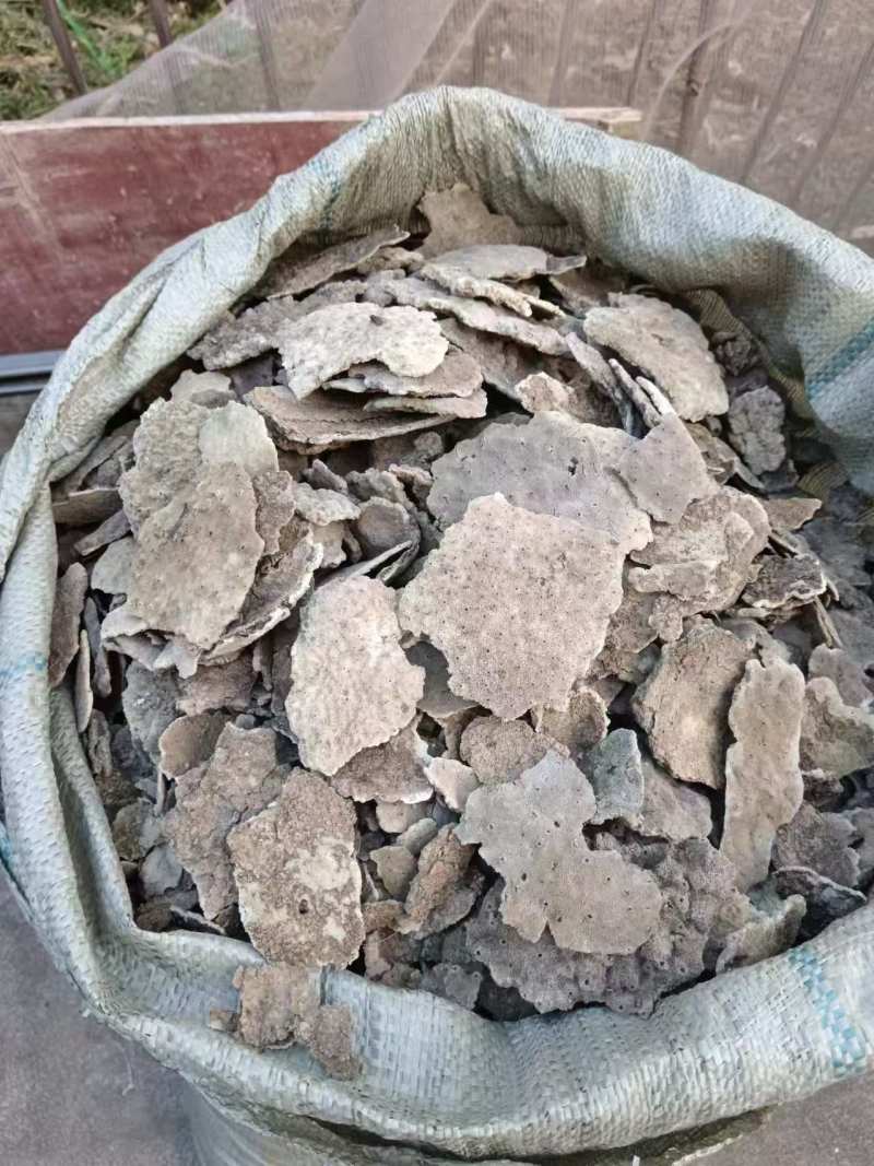 紫霄花