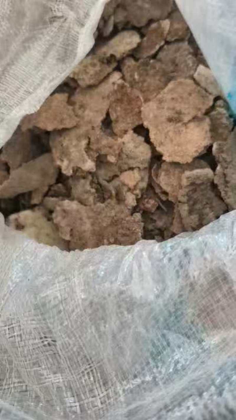 紫霄花