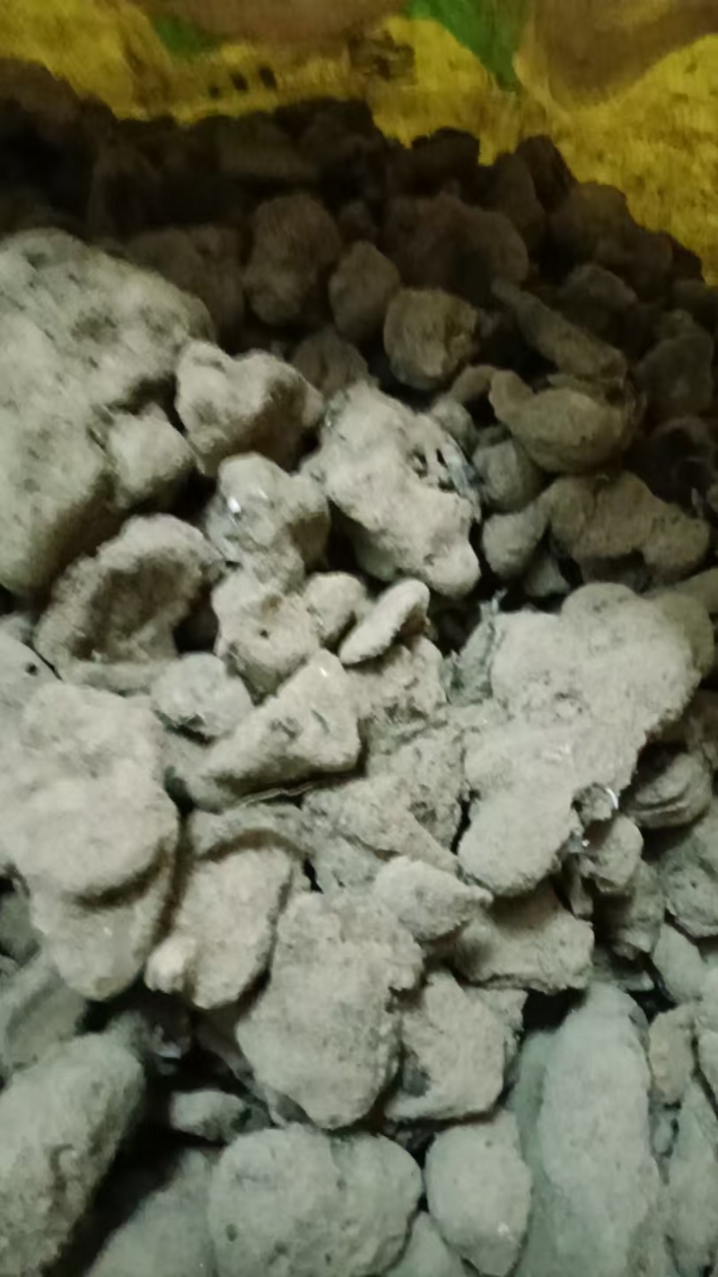 紫霄花
