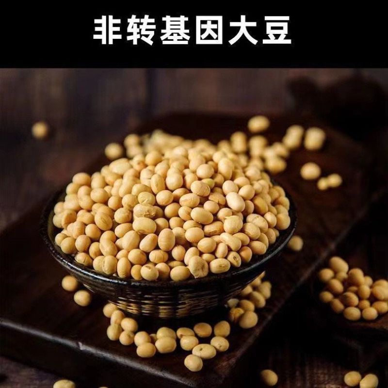 油炸脆皮豆腐干胚