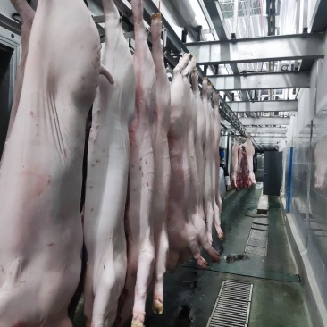 猪肉白条，分割品