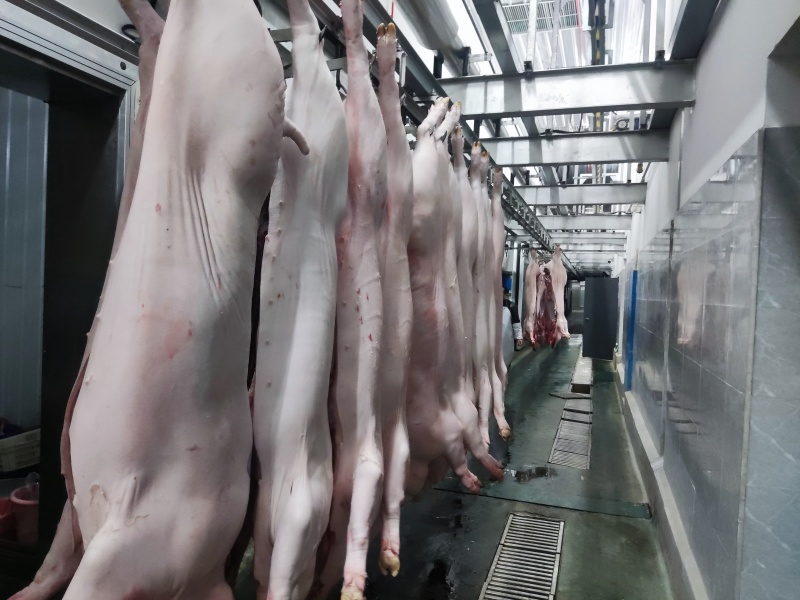 猪肉白条，分割品
