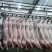 猪肉白条，分割品