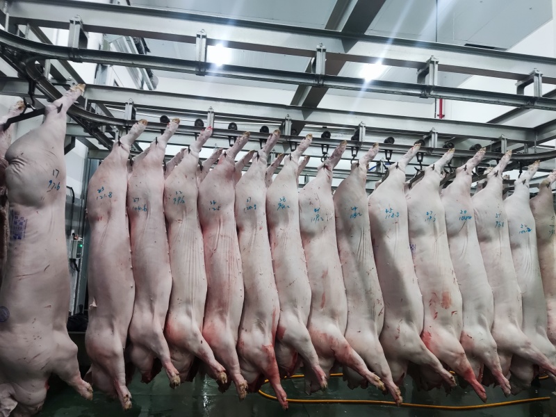 猪肉白条，分割品