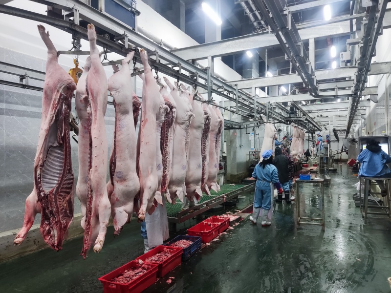 猪肉白条，分割品