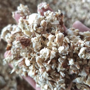 木薯渣渣，纯木薯渣喂养饲料