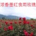 食用玫瑰，云南批发价滇红，金边，墨红食用玫瑰种苗扦插苗