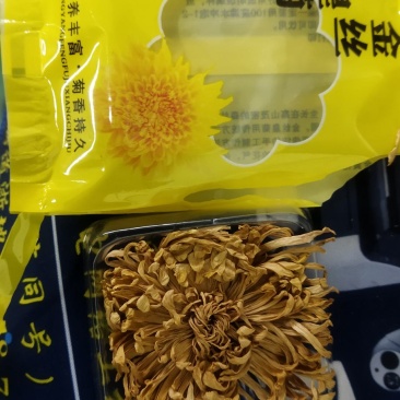 有收购金丝皇菊的吗？
