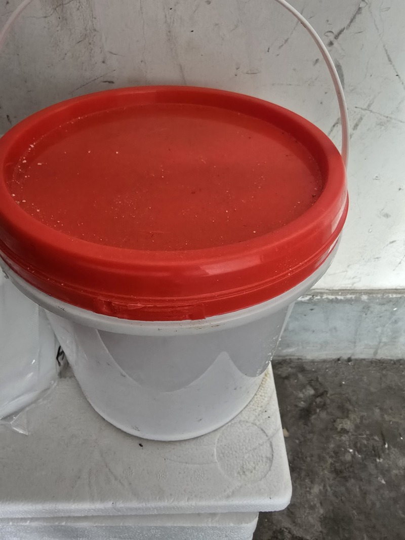 海蛰丝，海蛰，小桶净重三斤大桶净重5斤，