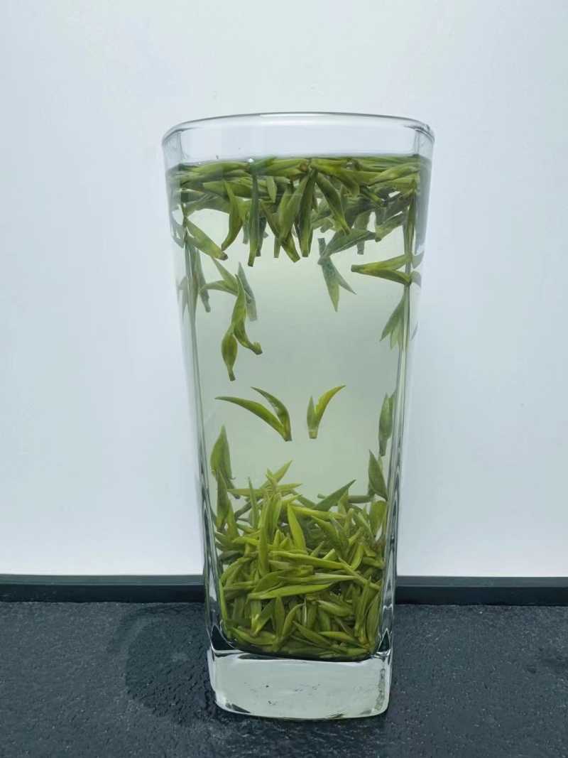 源头市场头春头采黄芽毛峰