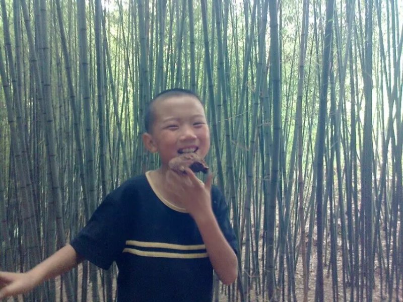 精竹，水竹