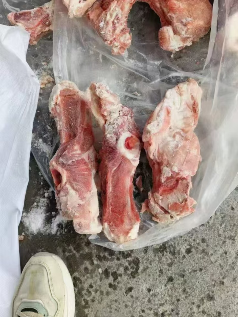 南宁叉骨