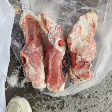 南宁叉骨