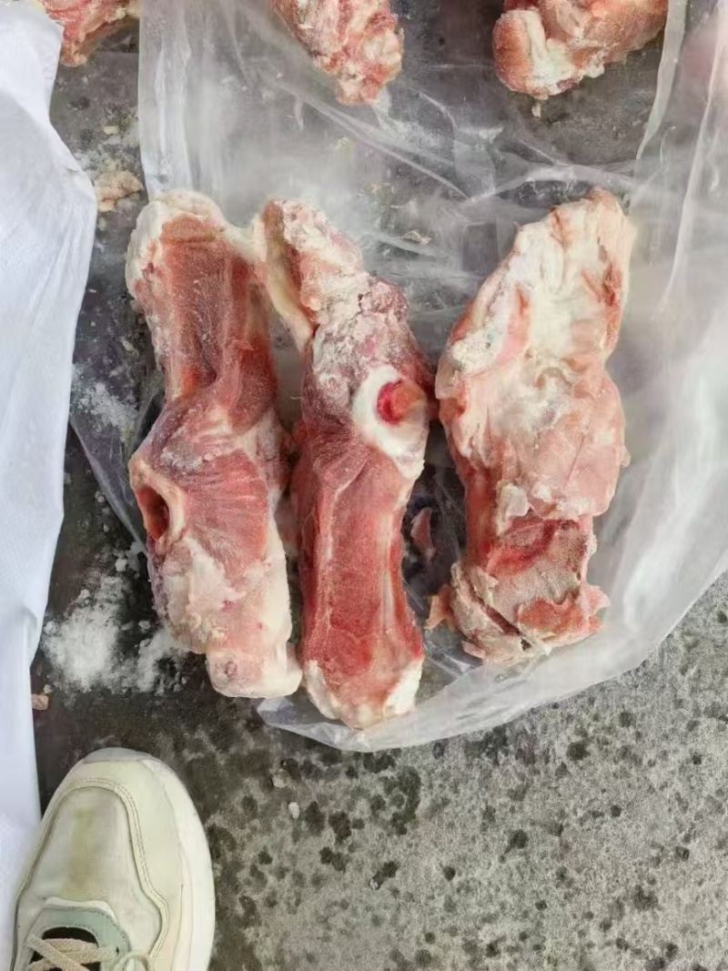 南宁叉骨