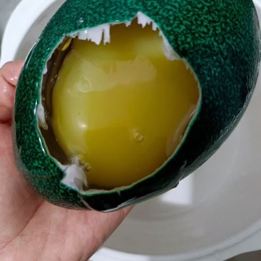 自家养殖鸸鹋蛋可孵化可食用