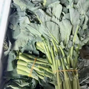 板蓝根青菜