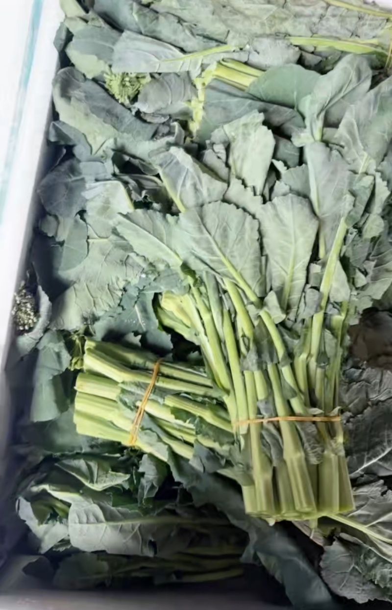 板蓝根青菜