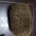 猪宝