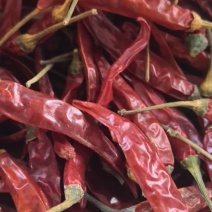 小米干辣椒