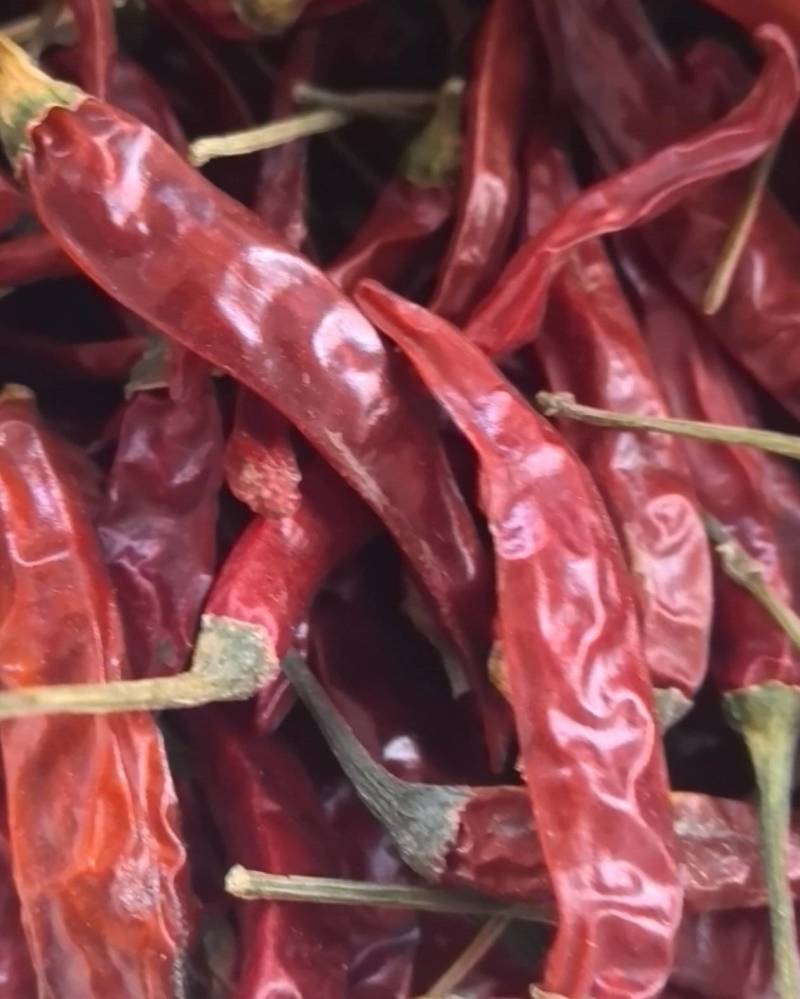 小米干辣椒