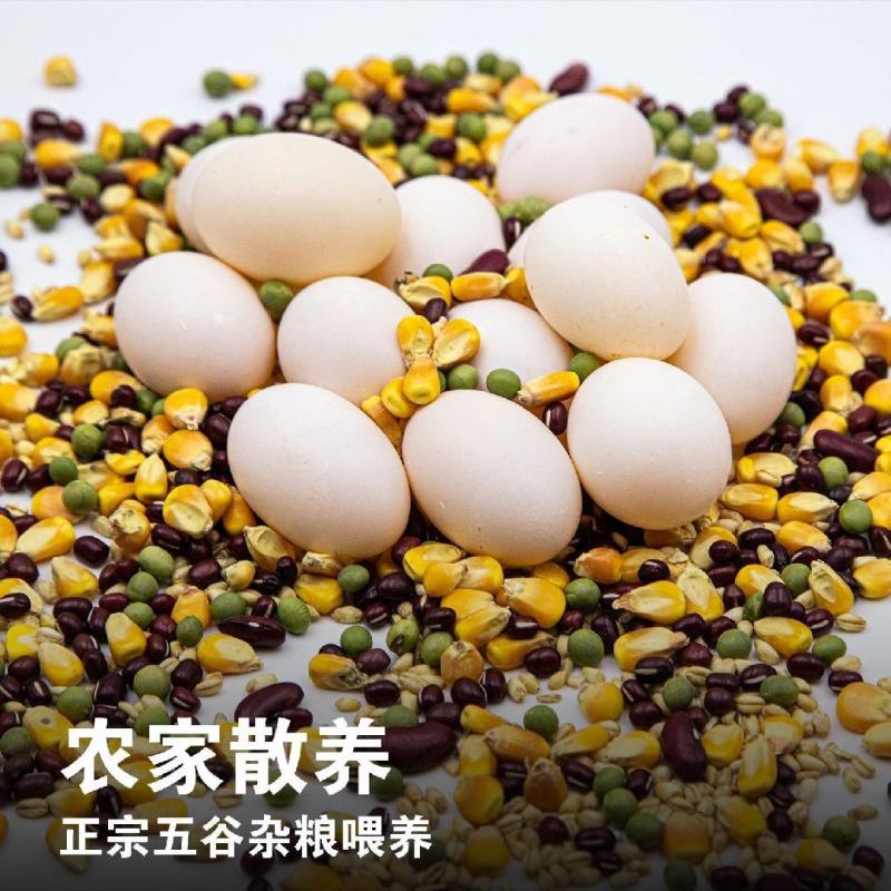 鸽子蛋