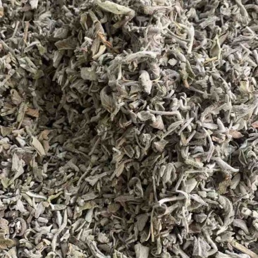 批发鼠尾草50斤/件统货带梗20元/斤***********